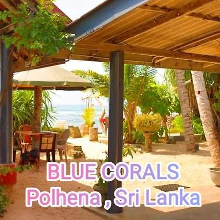 Blue Corals Beach Bungalow Matara Exterior photo
