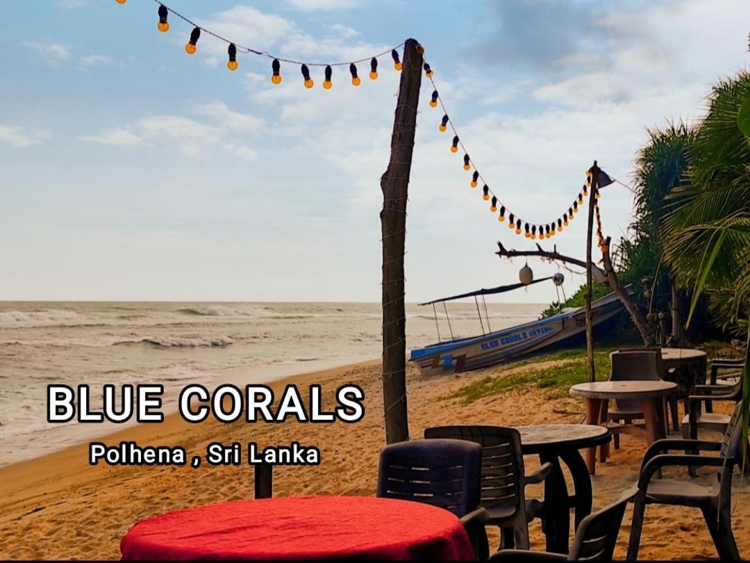 Blue Corals Beach Bungalow Matara Exterior photo