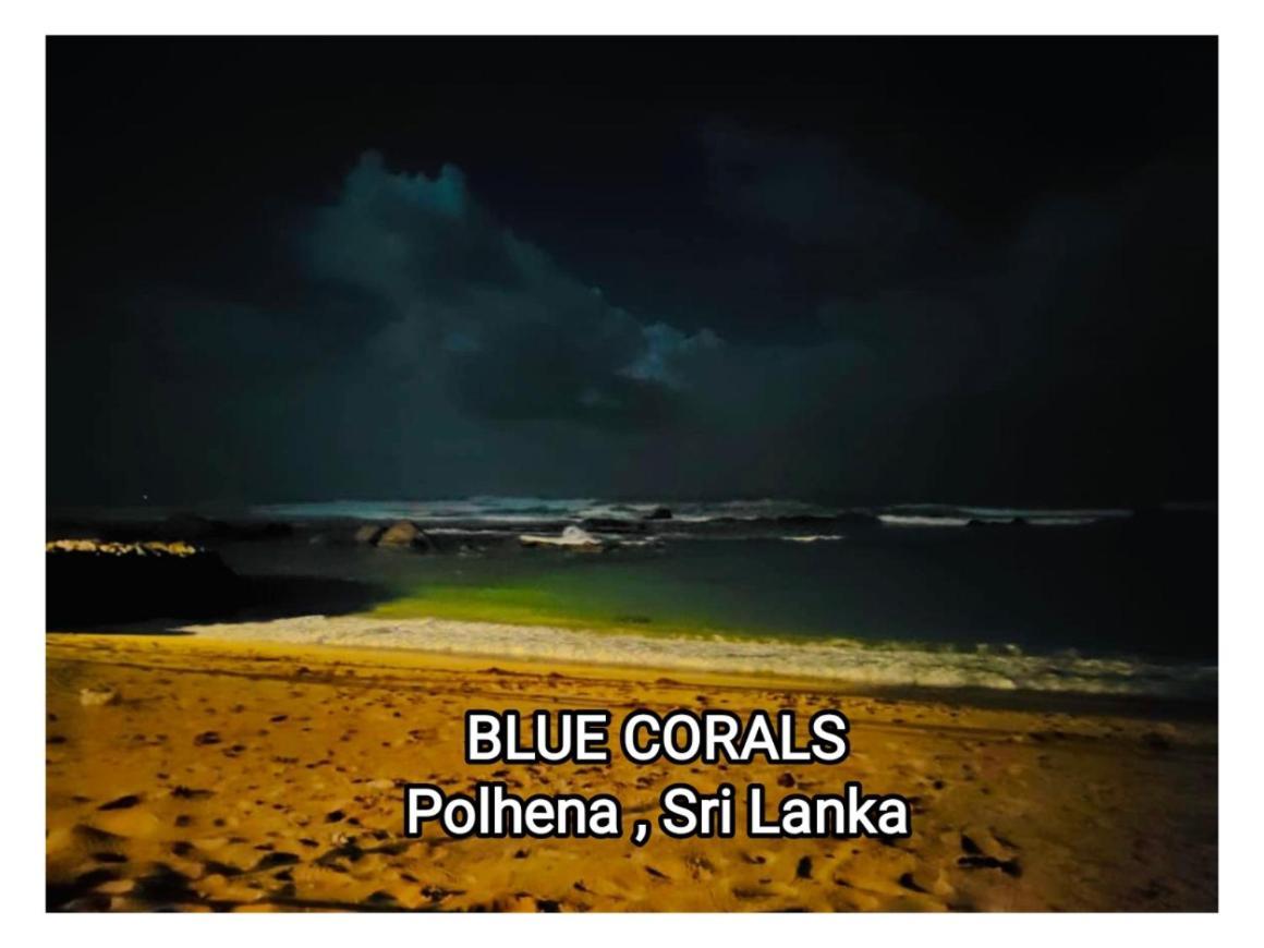 Blue Corals Beach Bungalow Matara Exterior photo