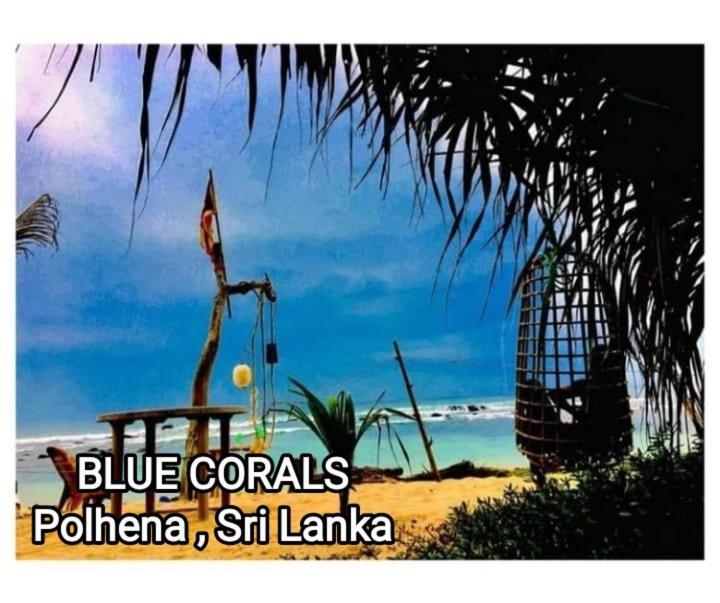 Blue Corals Beach Bungalow Matara Exterior photo